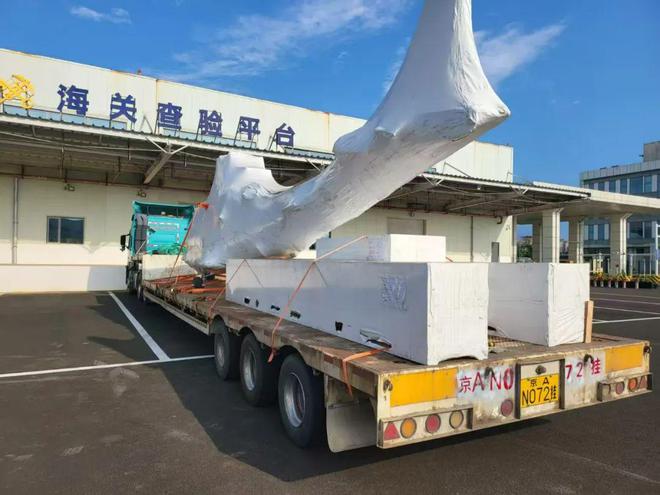 南首单“零关税”航I器来了(?)